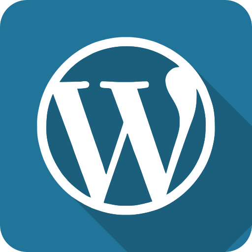 WordPress Developer